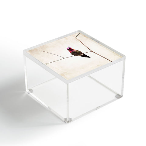 Bree Madden Little Hummingbird Acrylic Box