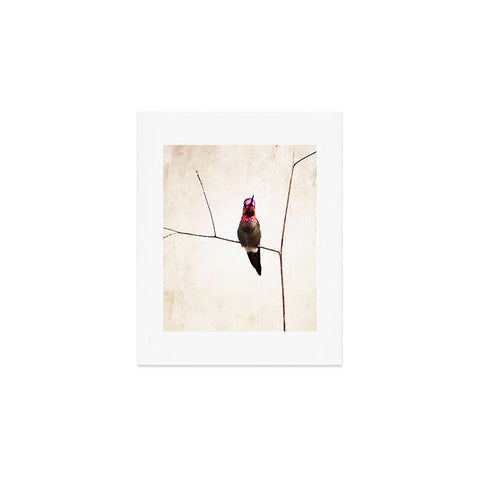Bree Madden Little Hummingbird Art Print