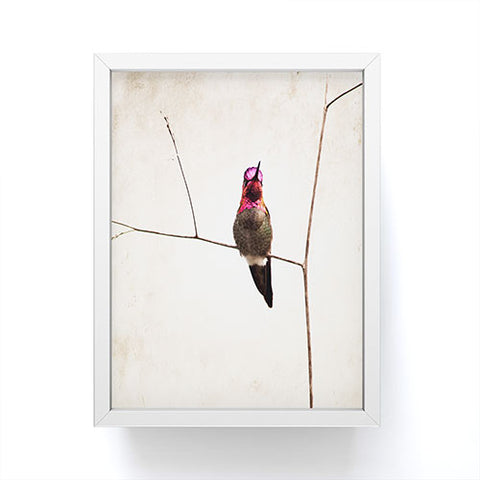 Bree Madden Little Hummingbird Framed Mini Art Print
