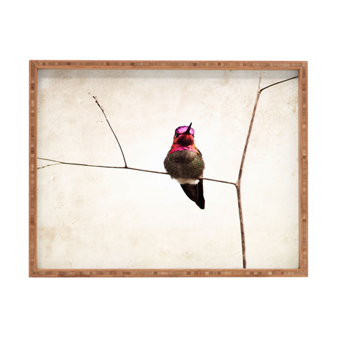 Bree Madden Little Hummingbird Rectangular Tray