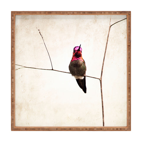 Bree Madden Little Hummingbird Square Tray