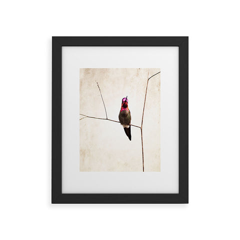 Bree Madden Little Hummingbird Framed Art Print