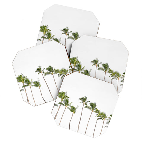 Bree Madden Minimal Palms Coaster Set
