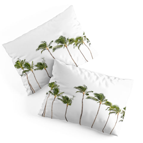 Bree Madden Minimal Palms Pillow Shams