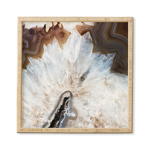 Bree Madden Natural Wonders Framed Wall Art