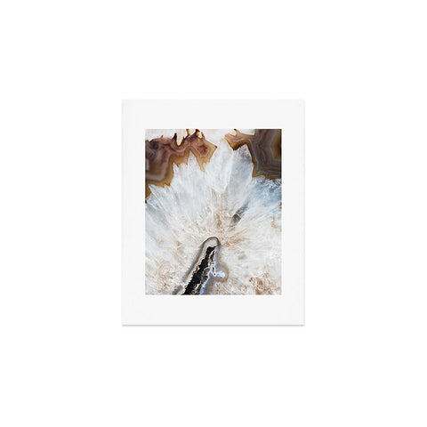 Bree Madden Natural Wonders Art Print