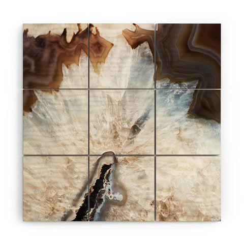 Bree Madden Natural Wonders Wood Wall Mural