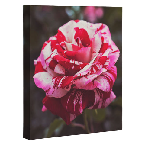 Bree Madden Painting Roses Red Art Canvas