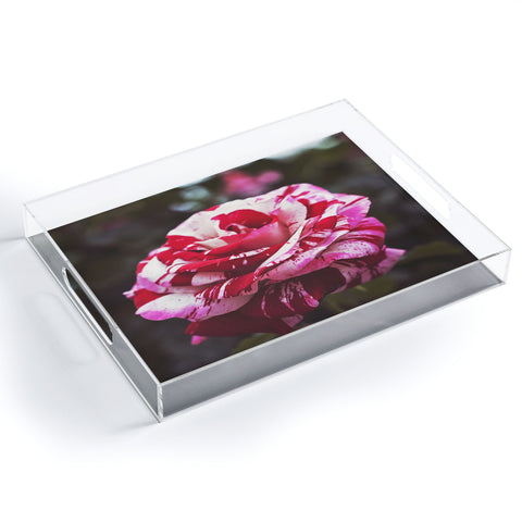 Bree Madden Painting Roses Red Acrylic Tray