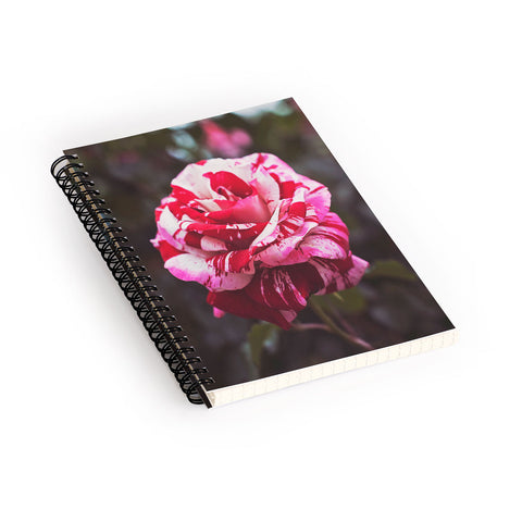 Bree Madden Painting Roses Red Spiral Notebook