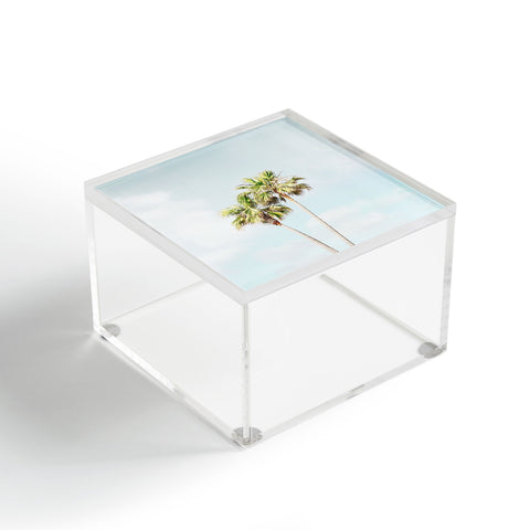 Bree Madden Palm Tree Dream Acrylic Box