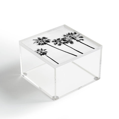Bree Madden Palm Trees BW Acrylic Box