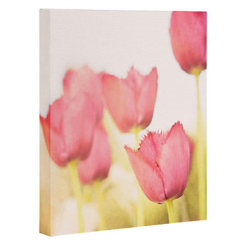 Bree Madden Pink Tulips Art Canvas