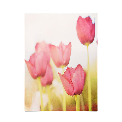 Bree Madden Pink Tulips Poster