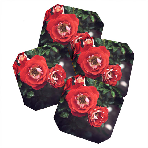 Bree Madden Red Romance Coaster Set