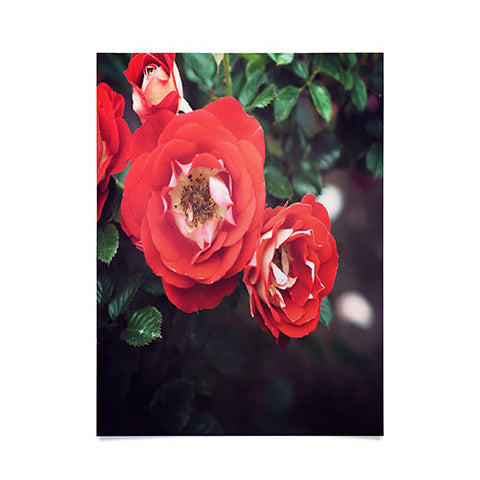 Bree Madden Red Romance Poster