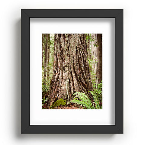 Bree Madden Redwood Trees Recessed Framing Rectangle