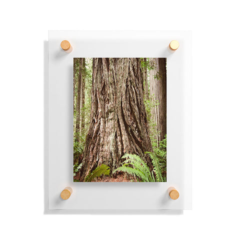 Bree Madden Redwood Trees Floating Acrylic Print