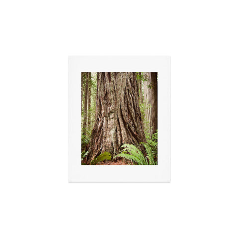 Bree Madden Redwood Trees Art Print