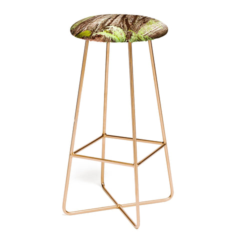 Bree Madden Redwood Trees Bar Stool