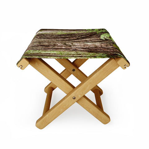 Bree Madden Redwood Trees Folding Stool