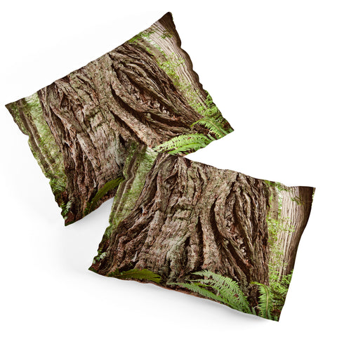 Bree Madden Redwood Trees Pillow Shams