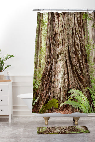 Bree Madden Redwood Trees Shower Curtain And Mat