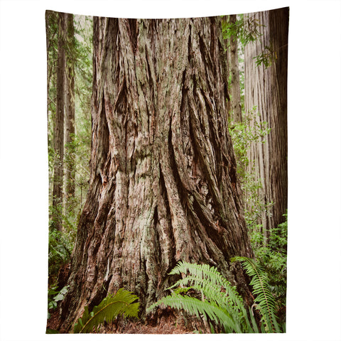 Bree Madden Redwood Trees Tapestry