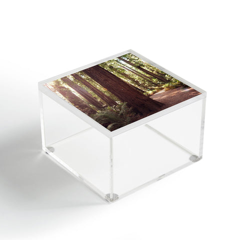 Bree Madden Redwoods Acrylic Box