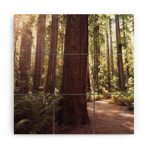 Bree Madden Redwoods Wood Wall Mural