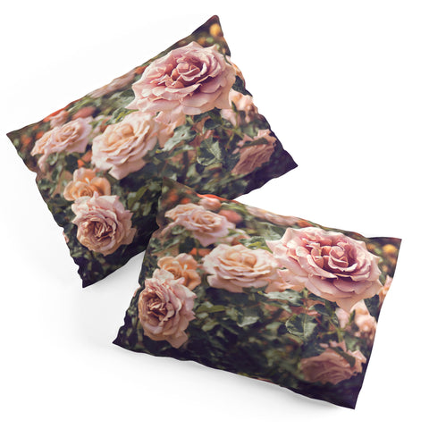 Bree Madden Rose Pillow Shams