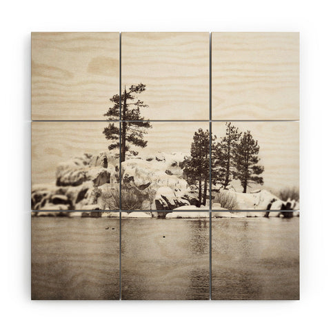 Bree Madden Snowy Lake Wood Wall Mural