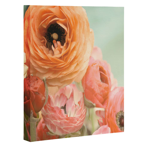 Bree Madden Spring Ranunculus Art Canvas