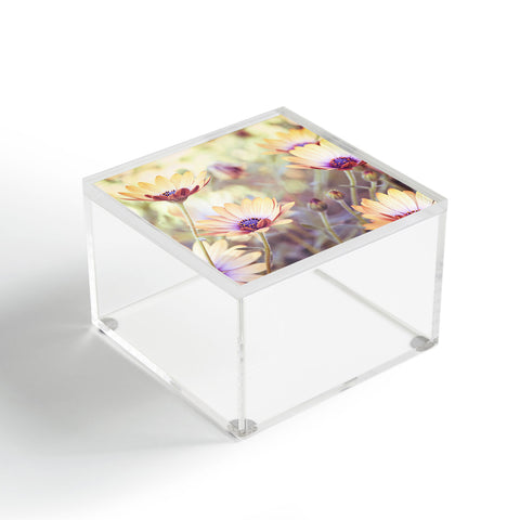 Bree Madden Spring Time Acrylic Box