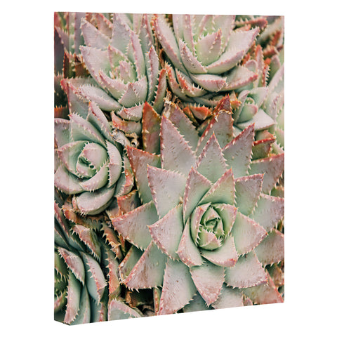 Bree Madden Succulent Art Canvas