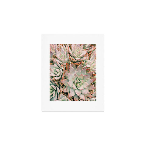 Bree Madden Succulent Art Print