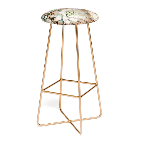 Bree Madden Succulent Bar Stool
