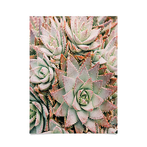 Bree Madden Succulent Poster