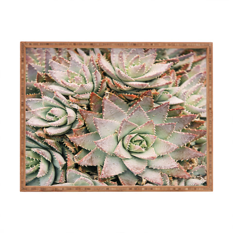 Bree Madden Succulent Rectangular Tray