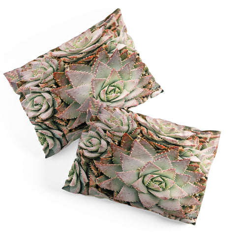 Bree Madden Succulent Pillow Shams