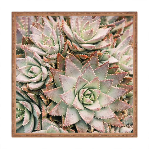 Bree Madden Succulent Square Tray
