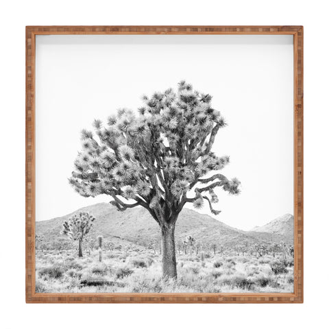 Bree Madden The Desert Square Tray