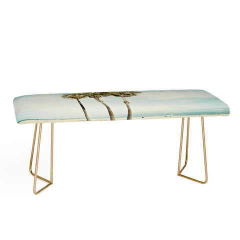 Bree Madden Venice Beach Palms Bench