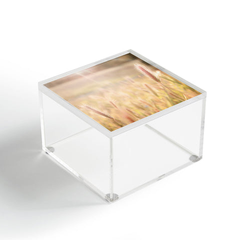 Bree Madden Wheat Fields Acrylic Box