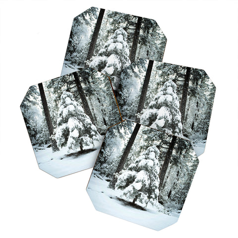 Bree Madden Winter Snow Coaster Set