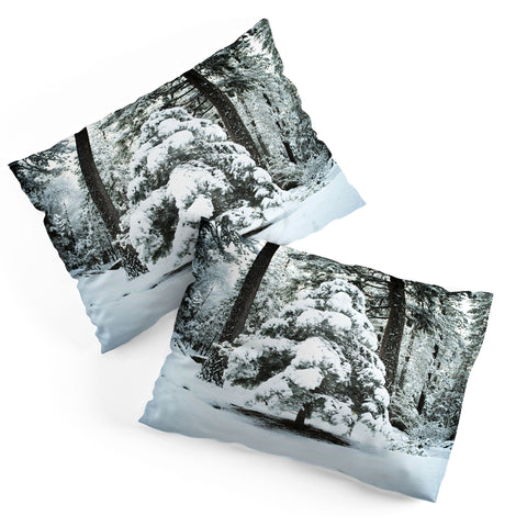 Bree Madden Winter Snow Pillow Shams