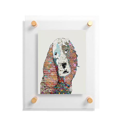 Brian Buckley Spaniel Graffiti Floating Acrylic Print