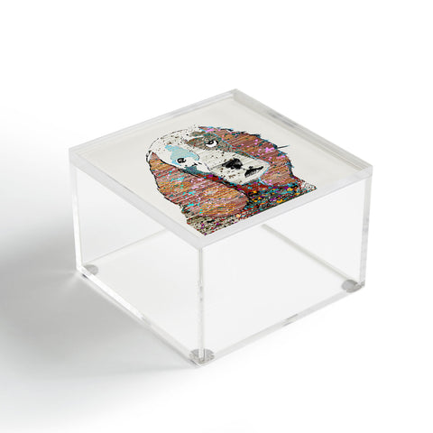 Brian Buckley Spaniel Graffiti Acrylic Box