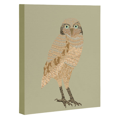 Brian Buckley Vintage Owl Art Canvas