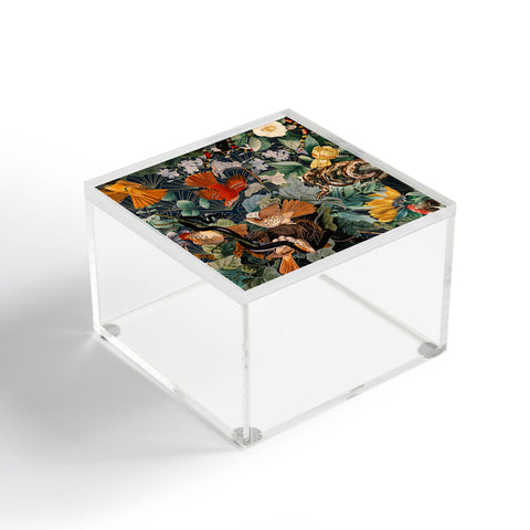 Burcu Korkmazyurek Birds and Snakes Acrylic Box